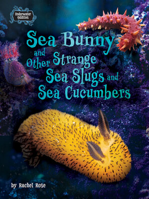 cover image of Sea Bunny and Other Strange Sea Slugs and Sea Cucumbers